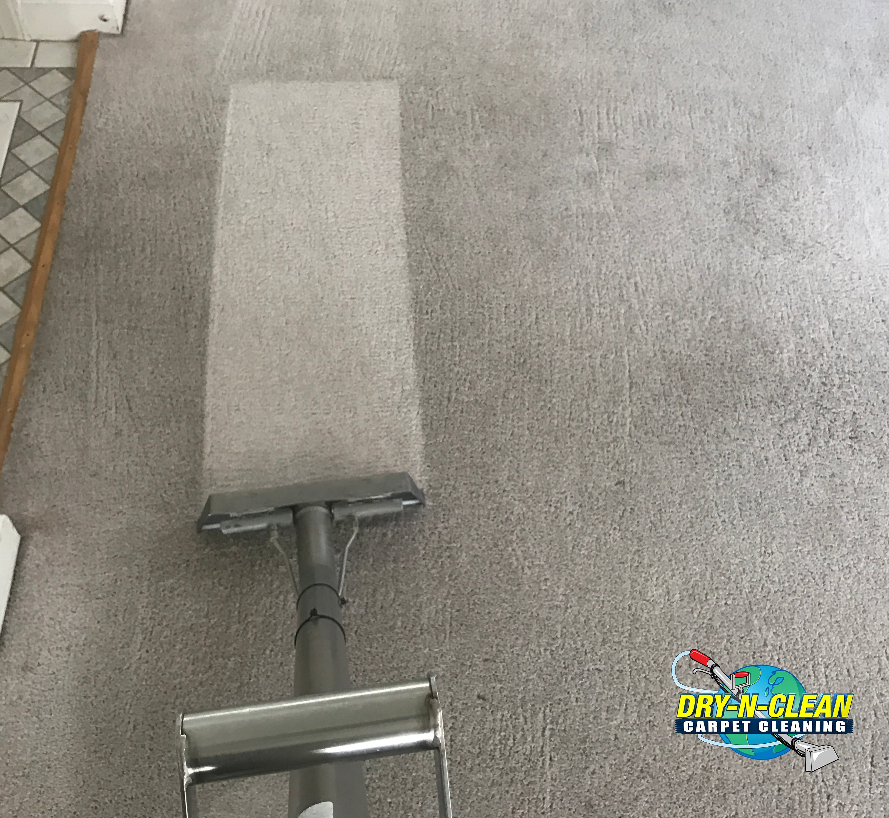 How to Clean Sisal Rug Pet Stains: Easy Steps for Spotless Rugs