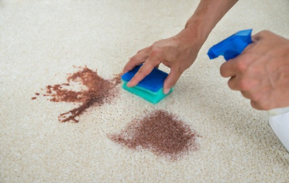 How to Get Coke out of a Carpet (Methods, Steps & Products) – TMF Store