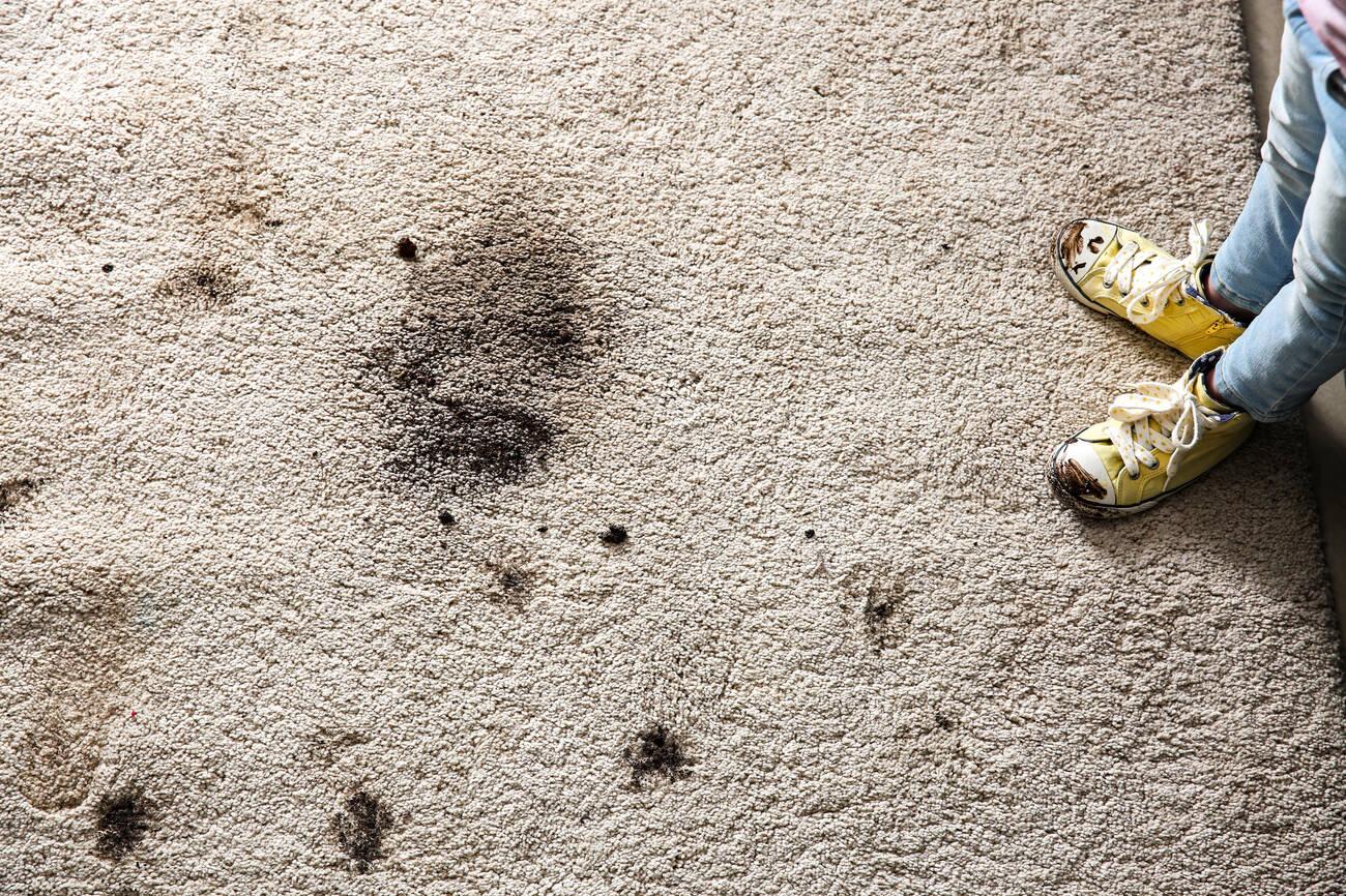 How to Get Mud Out of Your Carpet