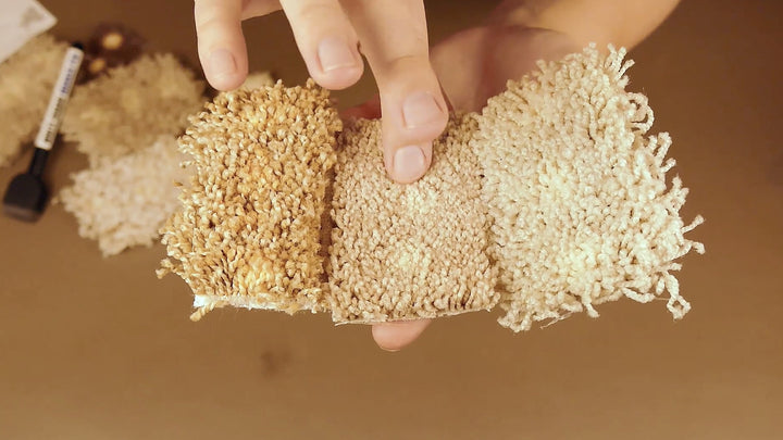 Ultimate Spot Dye Kit Training Package TMF Store