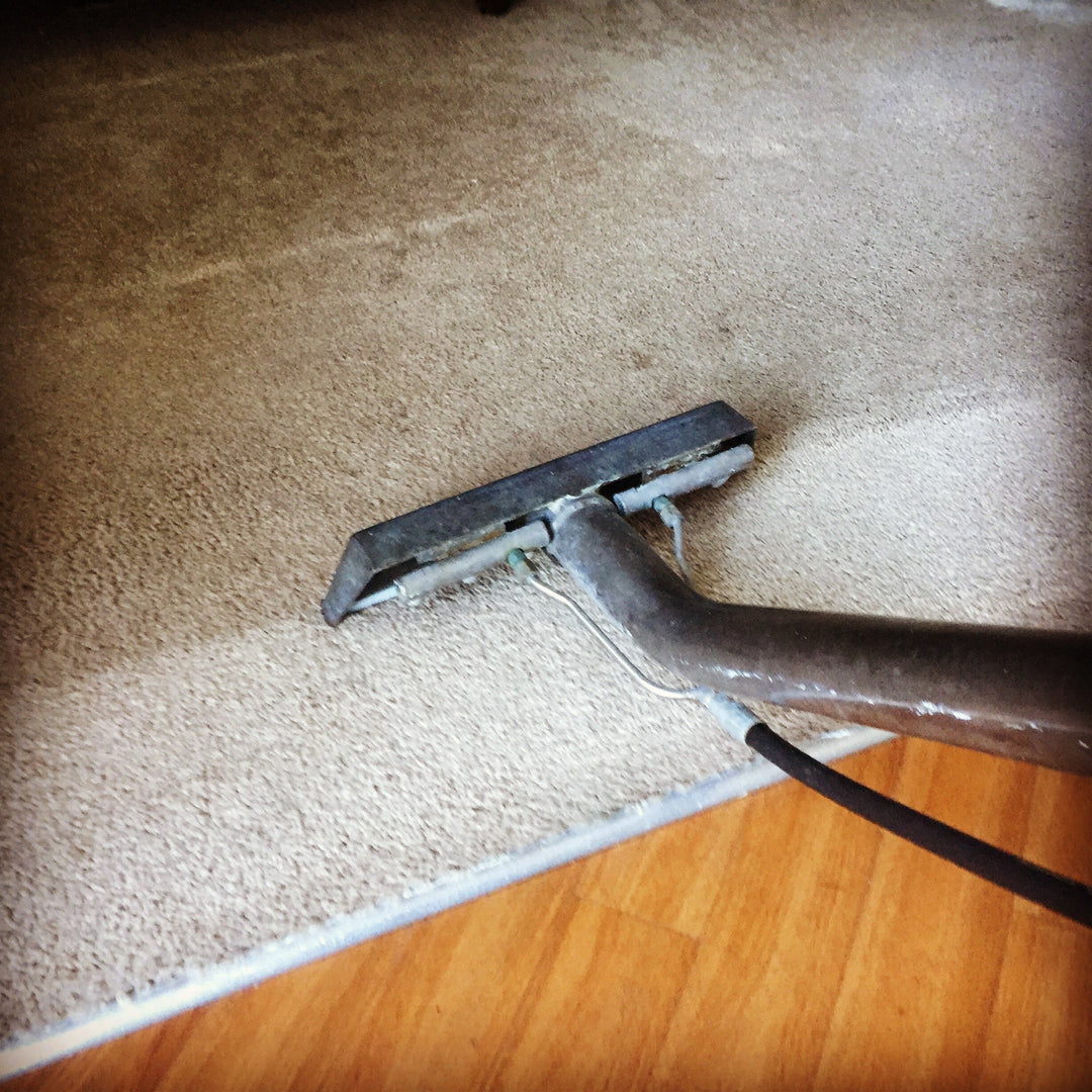 how to clean natural fiber rugs