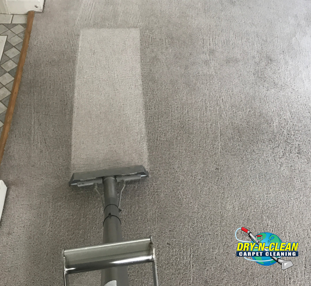how to clean sisal rugs