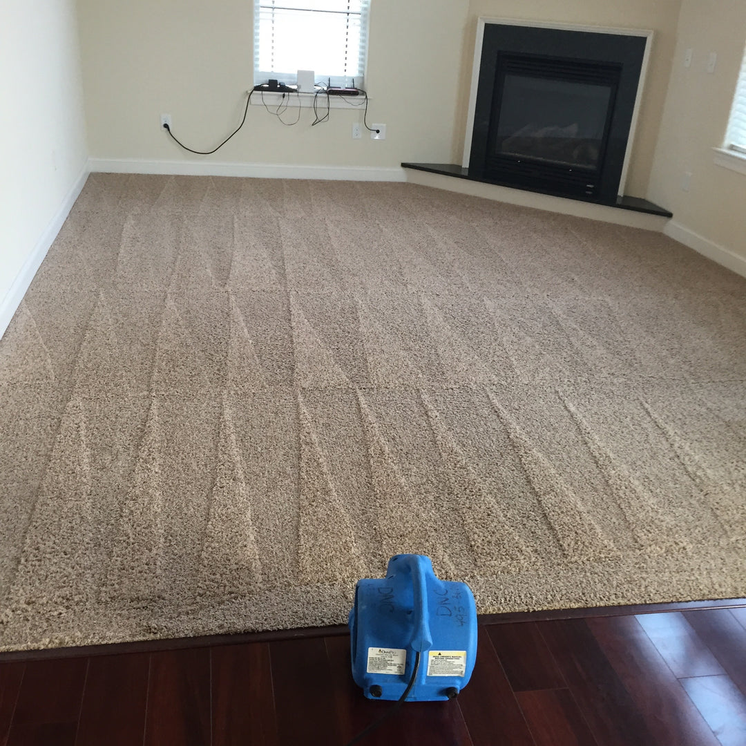 how to clean vomit from carpet