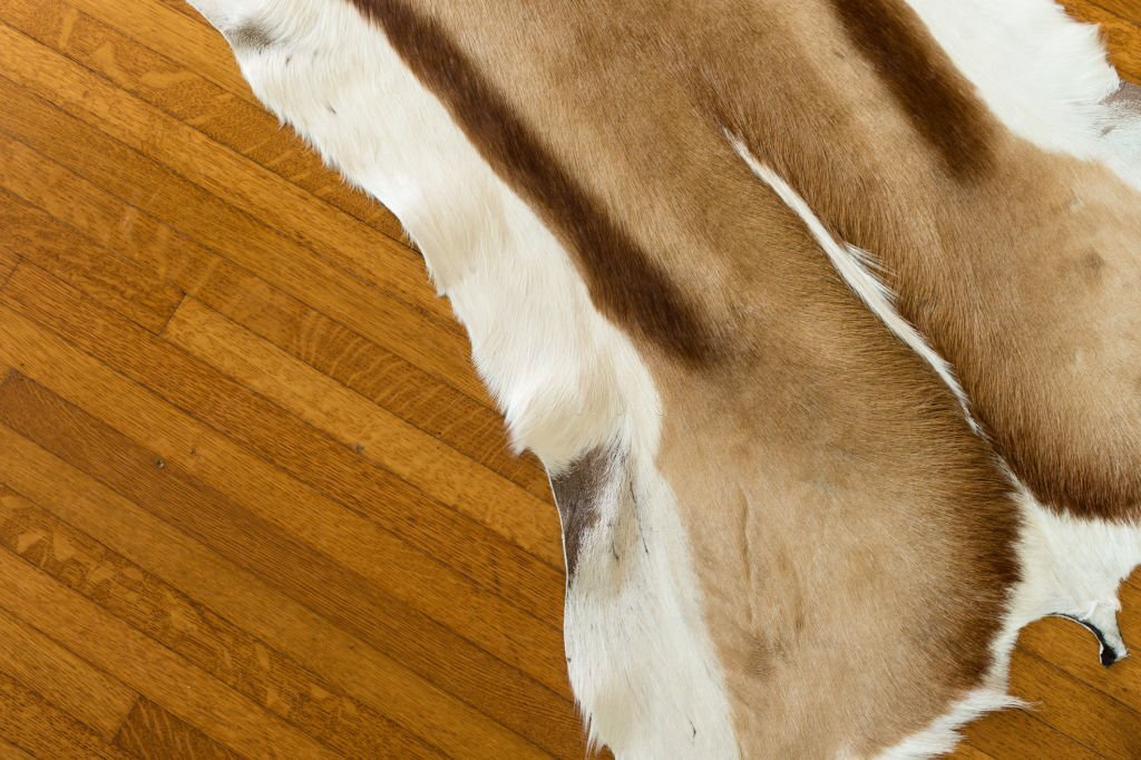 how to clean a leather rug