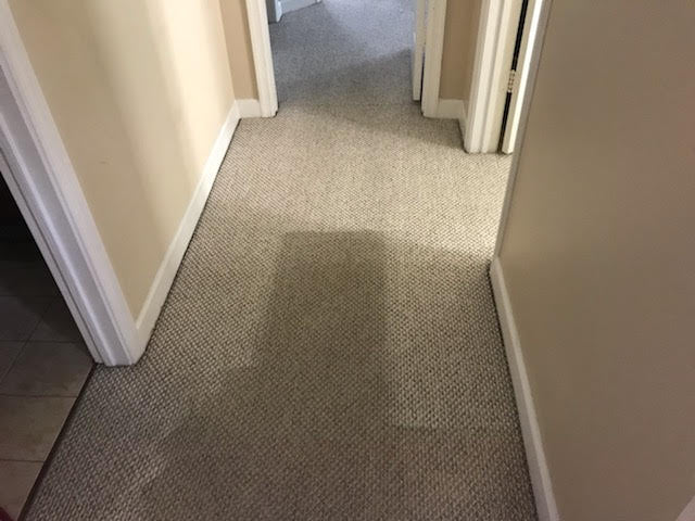 how to clean a shag rug