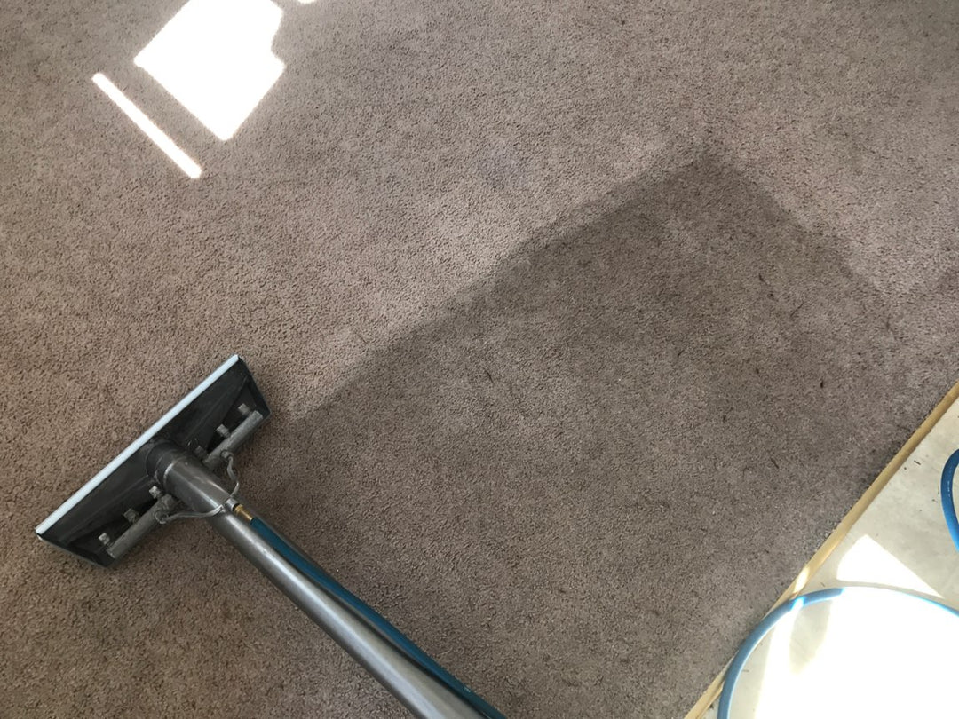 how to get ink out of carpet
