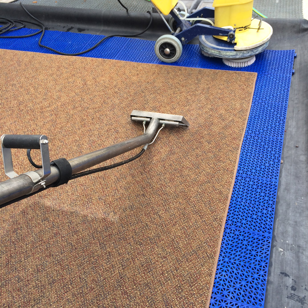 how to get mustard out of carpet