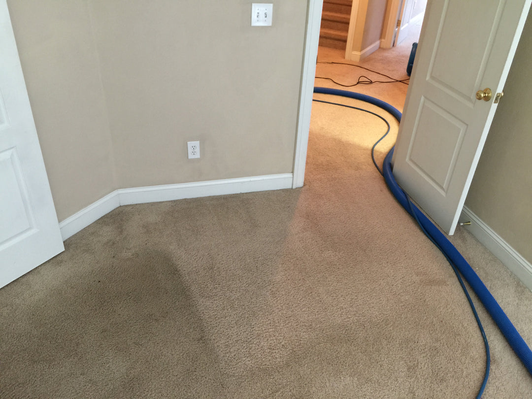 how to get old stains out of carpet
