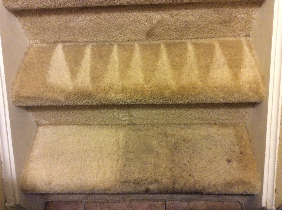 how to get stains out of carpet