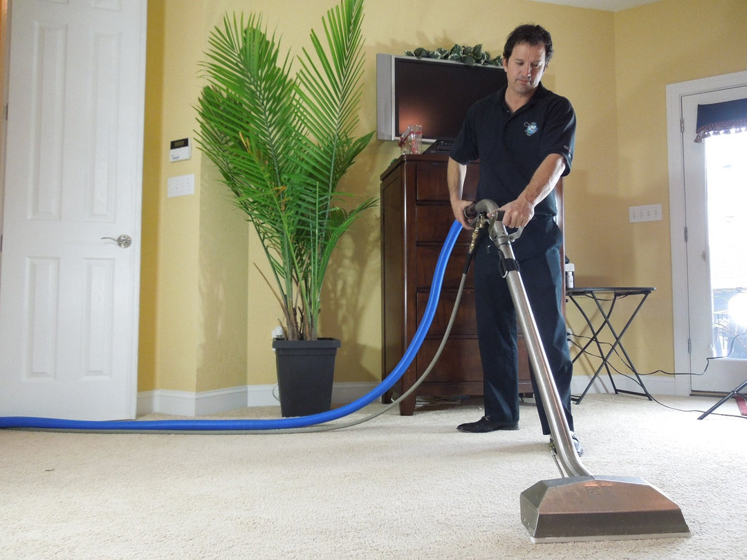 how to get vomit smell out of carpet