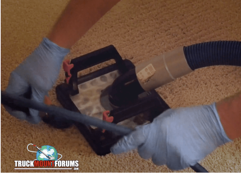 Become TMF Certified in Pet Urine & Odor Removal