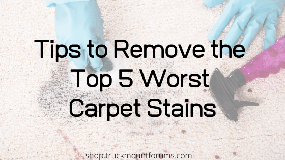 Top 5 Worst Carpet Stains