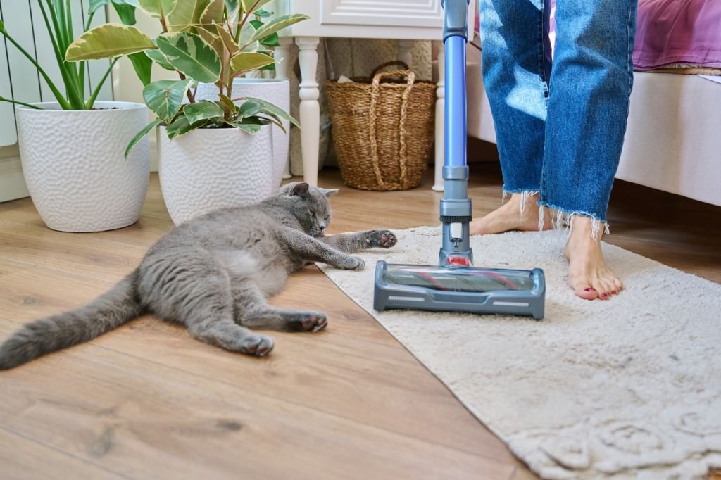 best carpet cleaning solution for pet odor professional