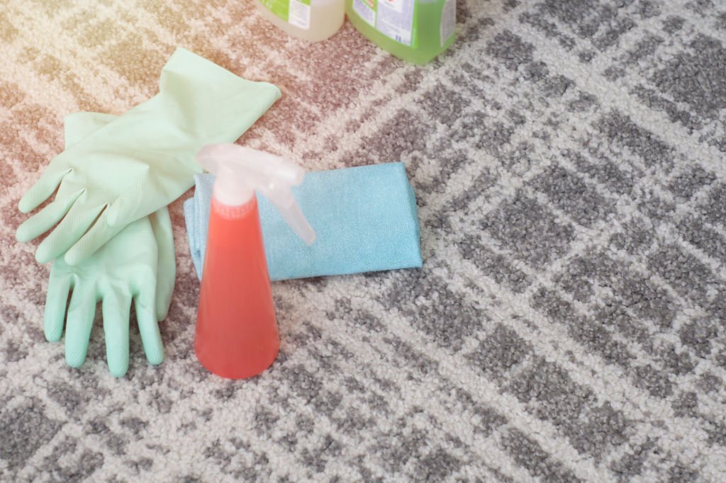 carpet sanitizing solutions for daycares 