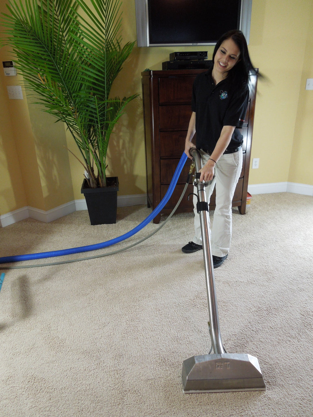 how to clean dried cat urine from carpet