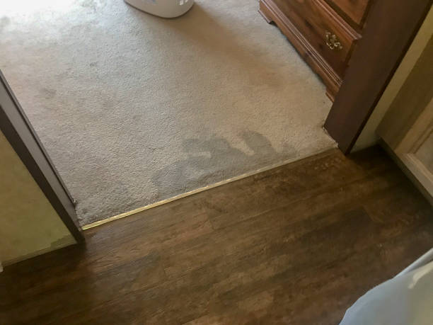 how to clean subfloor after removing carpet
