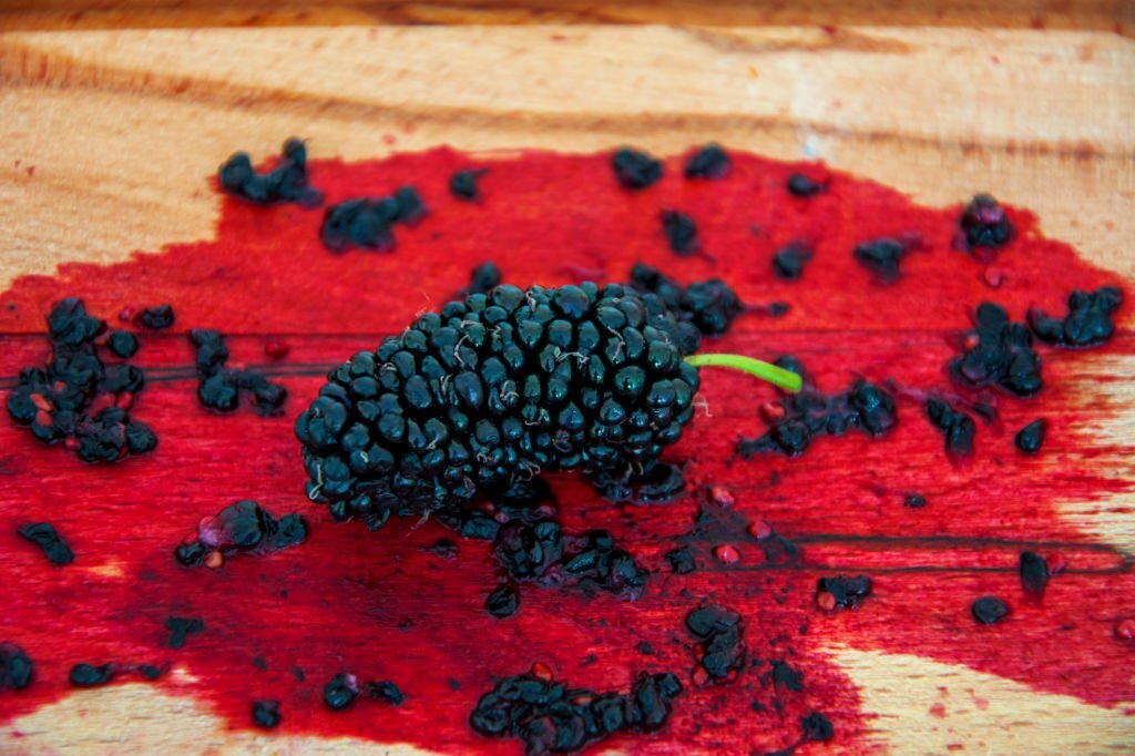 how to get berry stains out of wood