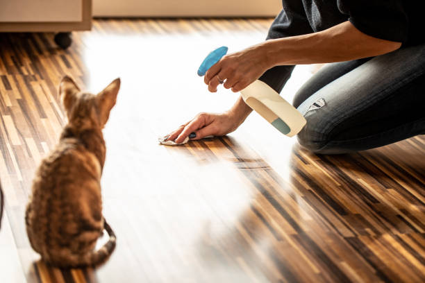 how to get cat pee smell out of wood
