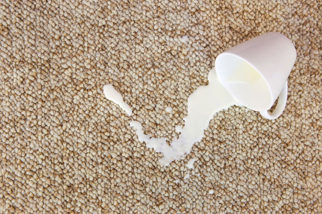 how to get milk out of carpet