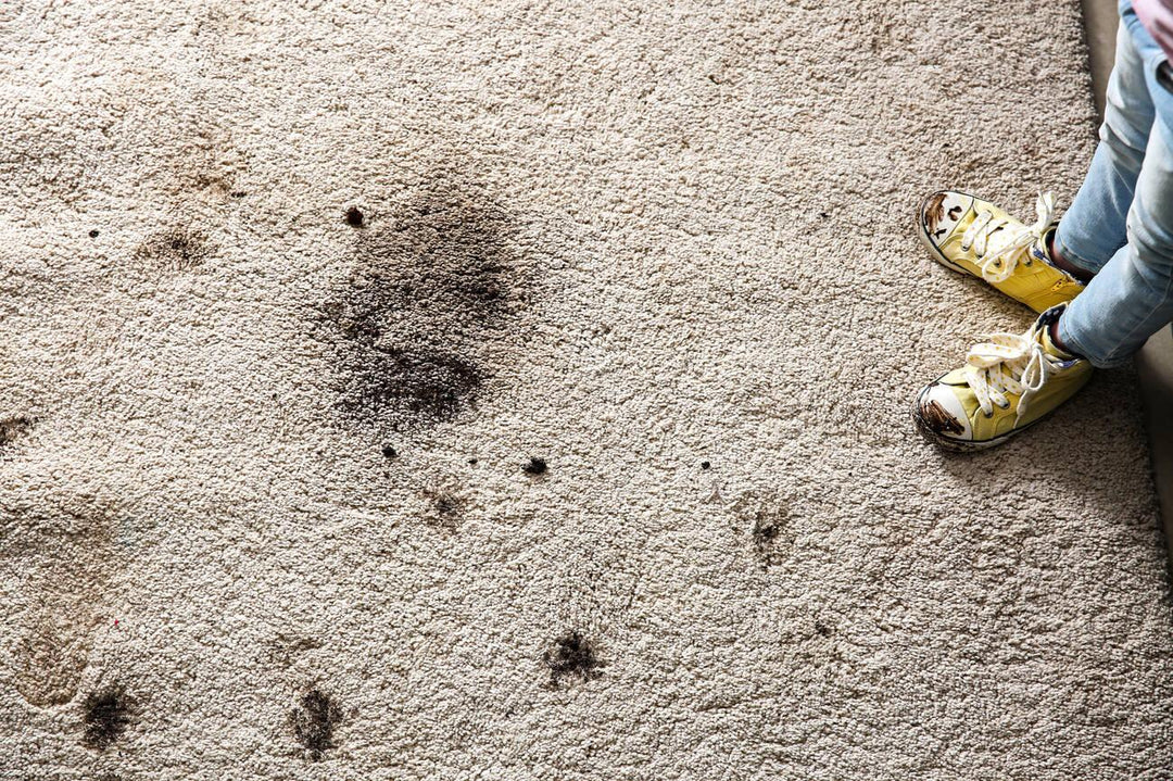 how to get mud out of carpet