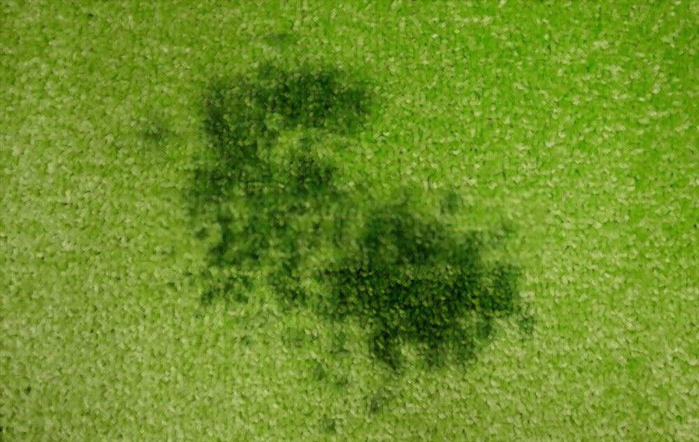 How to Get Oil Out of a Carpet