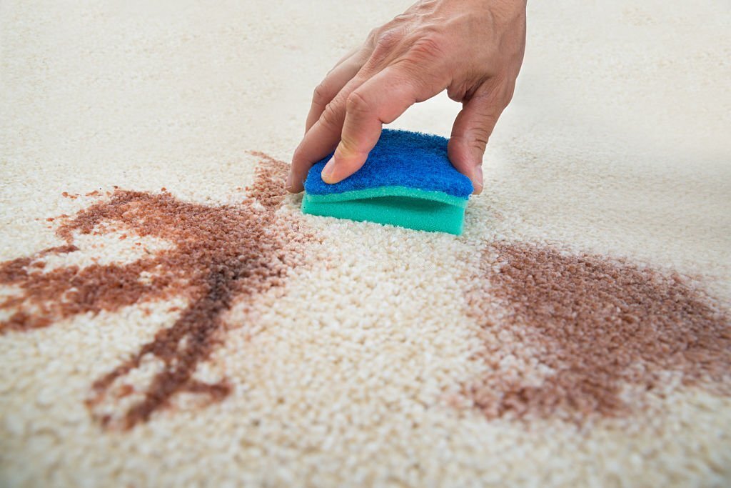 how to get soy sauce out of carpet