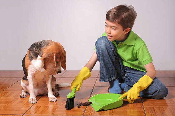 how to remove dog poop stains from hardwood floors