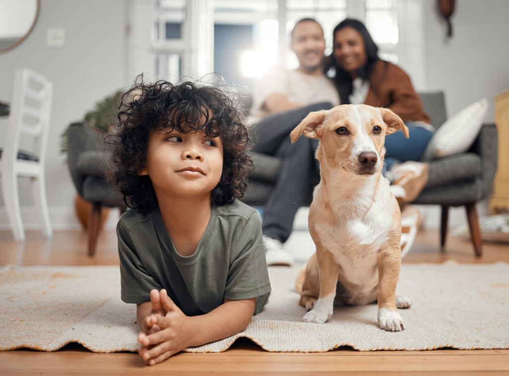 remove pet odor from carpets
