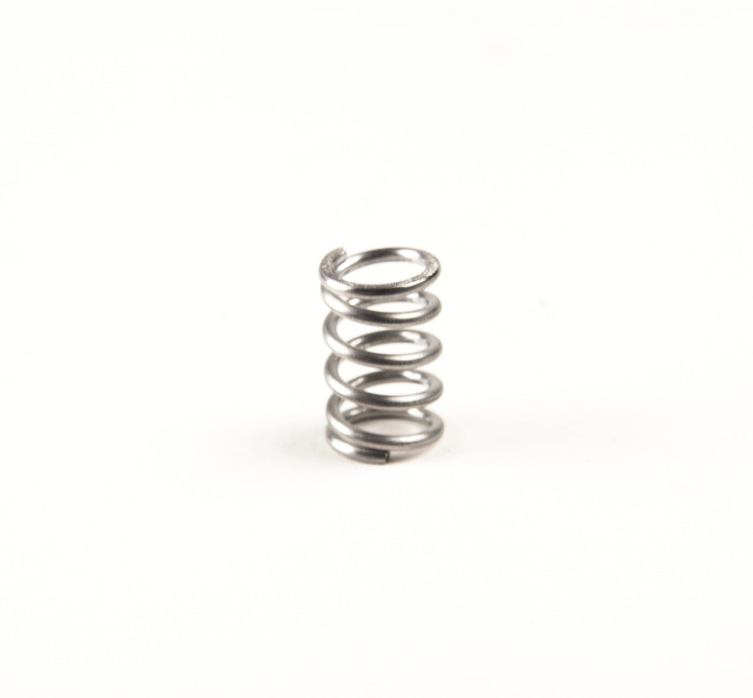 Valve Spring